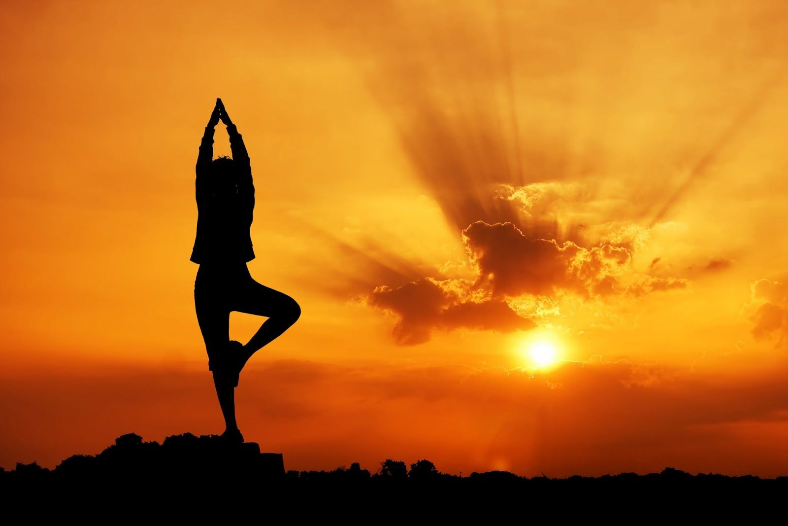 Yoga e Meditazione – clorophilla-shop