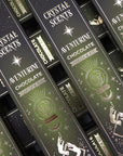 CRYSTAL SCENTS INCENSO IN BASTONCINI E CHIPS DI PIETRA NATURALE - Avventurina verde