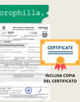 SET Bastoncini Legno di Palo Santo ricoperti - Lavanda | Rosa | Dragon's blood