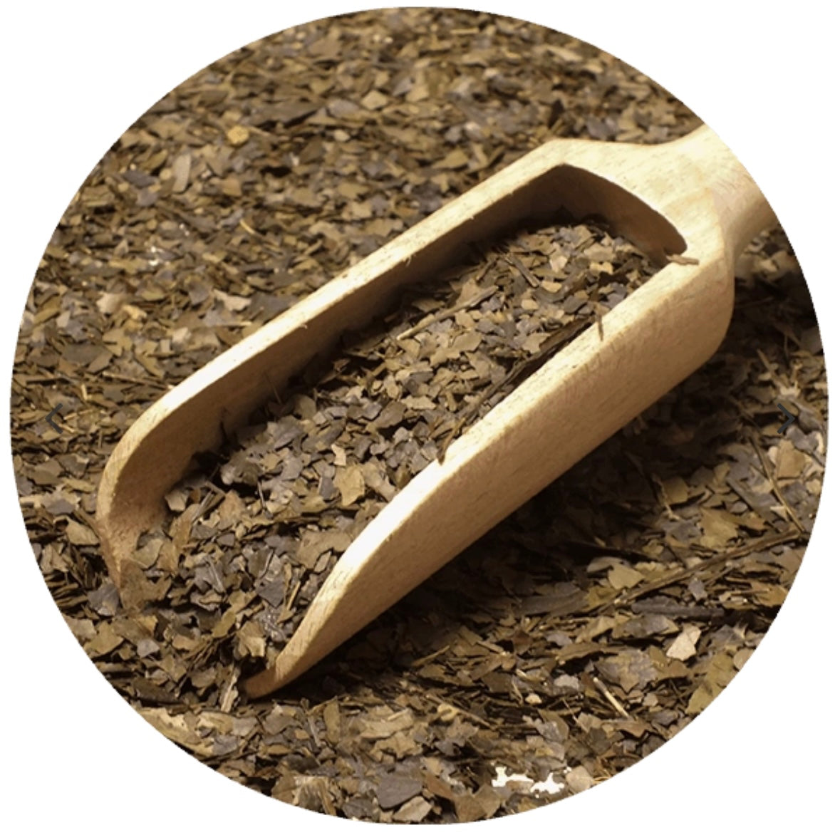Guayusa Pachamama Certificato biologico origine Ecuador - Infuso ricco di antiossidanti polifenolici 100g