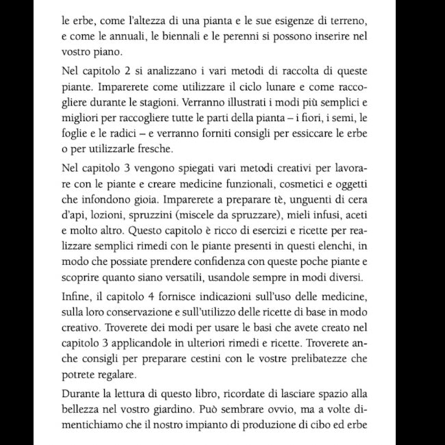 Book "The little book of herbs" Holly Bellebuono - Preparation natural remedies with herbs