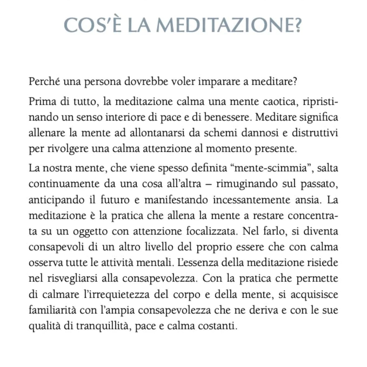 Libro &quot;Il Piccolo Libro della Meditazione&quot; David Pond - Tecniche meditative