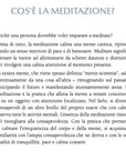 Book "The little meditation book" David Pond - Meditative Techniques