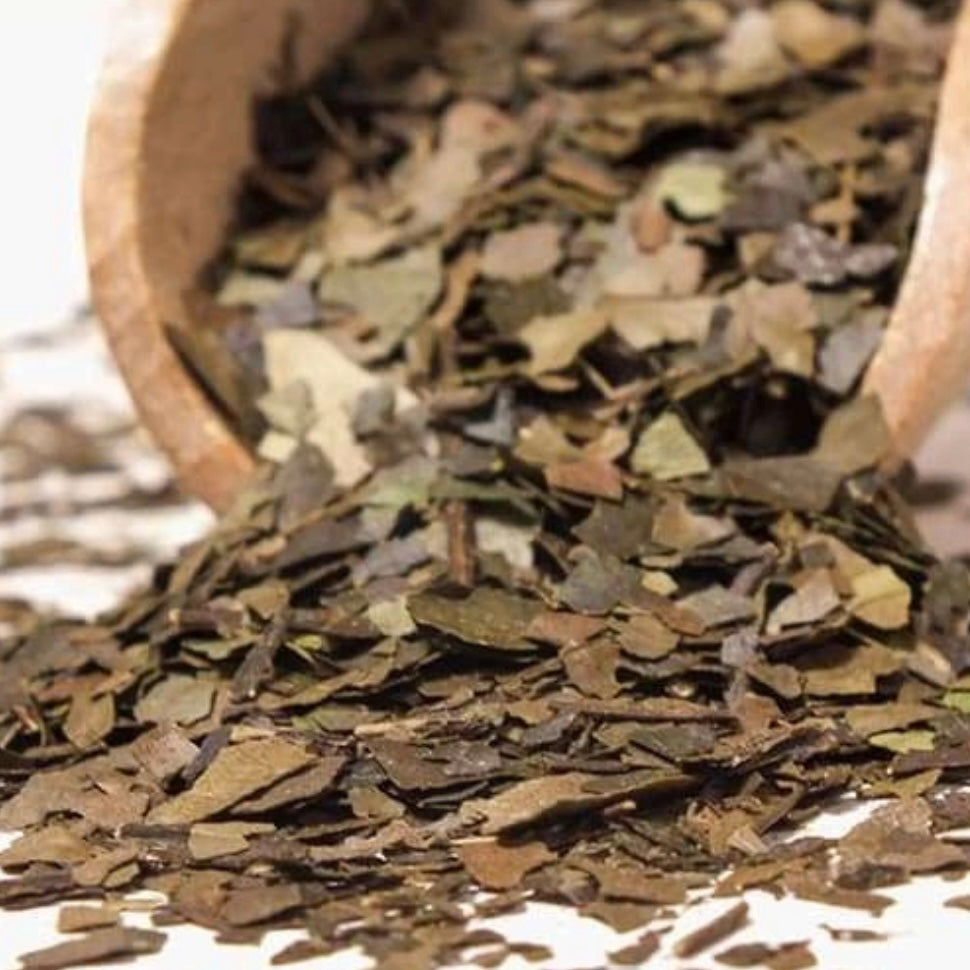 Guayusa Pachamama Certificato biologico origine Ecuador - Infuso ricco di antiossidanti polifenolici 100g