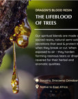 Aromafume Dragons Blood Mattoncini Incenso - Niente fumo e cenere