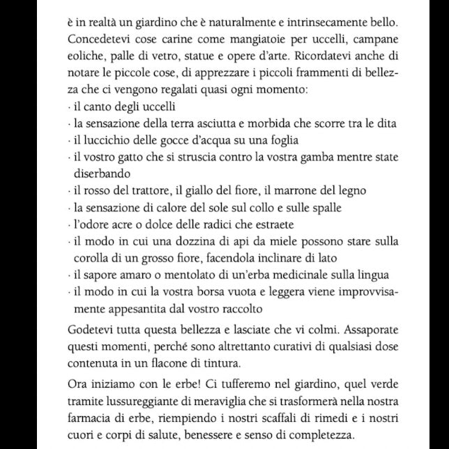 Book "The little book of herbs" Holly Bellebuono - Preparation natural remedies with herbs