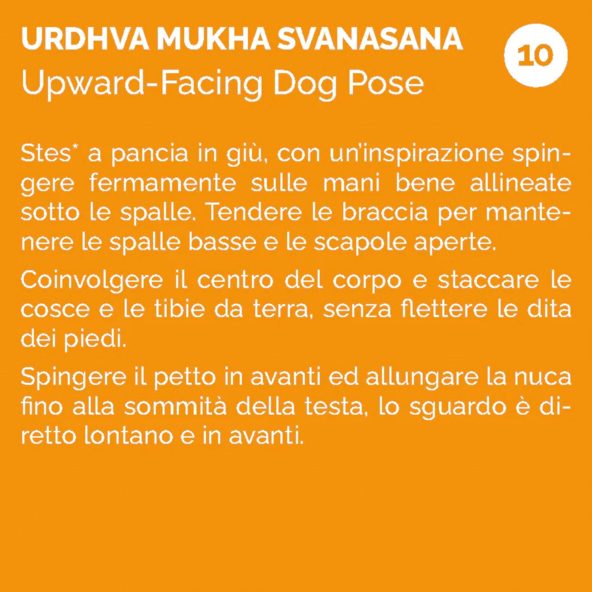 The Scarabeo "Justasana" - 110 Yoga practical cards