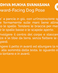 The Scarabeo "Justasana" - 110 Yoga practical cards