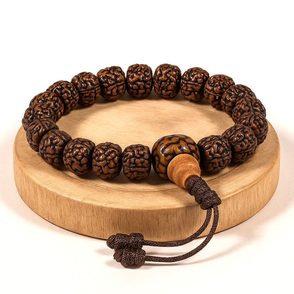 Mala bracelet in adjustable rudraksha - 21 polished grains