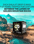 Golden Mountains SHILAJIT Resin Premium Puro 100% origine Monti Altaj - Esclusiva Qualità Certificata 100g - clorophilla-shop