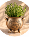 VASO CALDERONE HERBAL MAGIC - Terracotta