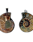 Collana con ciondolo in Ammonite - Fossile Energetico - clorophilla-shop