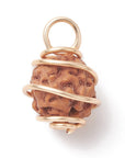 CIONDOLO IN RUDRAKSHA - Protezione, connessione interiore e crescita spirituale - Clorophilla Shop