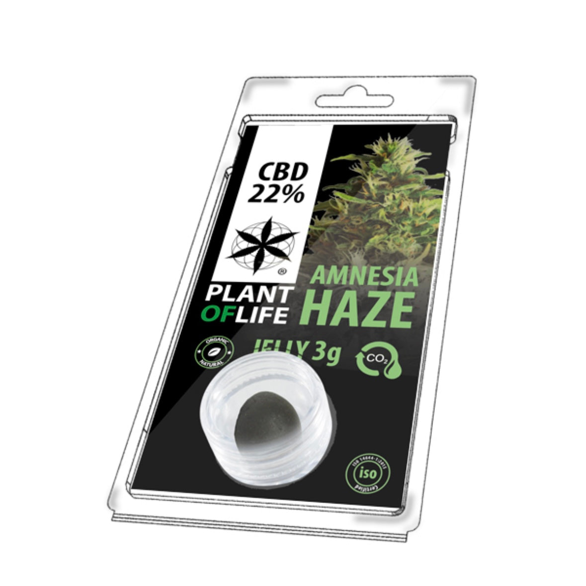 Plant of Life 22% CBD Jelly Amnesia Haze estratto - 3g