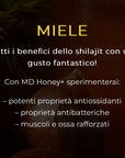 Mountaindrop CHESTNUT HONEY - Miele di castagno con Shilajit 350 ml - Antiossidante, antibatterico e rinforzante