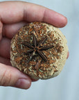 Sagrada Madre Pastillas craftsmanship for smoke - anise, cinnamon and rosemary
