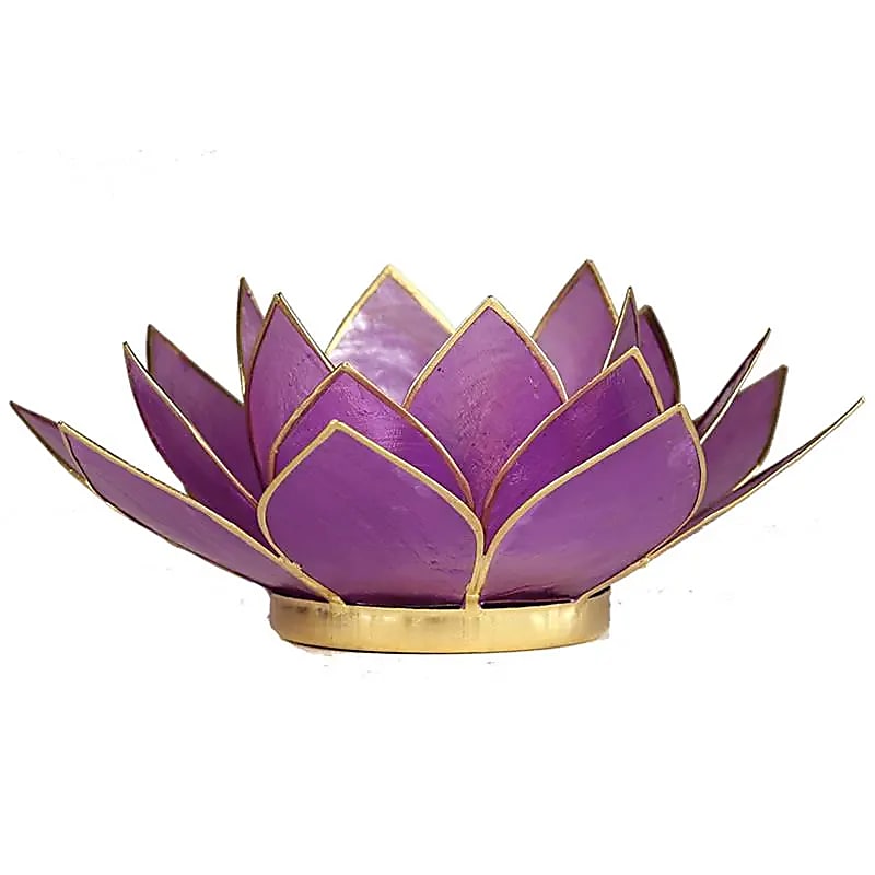 Lotus atmosphere lighting in Conchiglia Lapiz - Lilla Portalumino