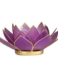 Lotus atmosphere lighting in Conchiglia Lapiz - Lilla Portalumino