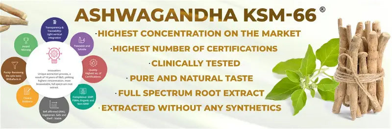 Mountaindrop ASHWAGANDHA - Ashwagandha con Shilajit e miele di castagno 350g - Rilassamento fisico e mentale