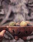 Sagrada Mother Bombge Smudge of Handcrafted Natural Herbs - Storage and Camphor
