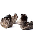 Drusa Quarzo Fumè grezza - Origine Brasile - Pietra da 6-12cm - clorophilla-shop