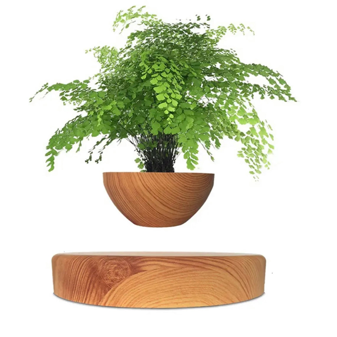 Vaso di design bonsai fluttuante Rotazione automatica - Fai lievitare il tuo verde