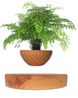 Vaso di design bonsai fluttuante Rotazione automatica - Fai lievitare il tuo verde