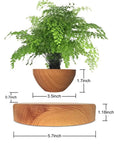 Vaso di design bonsai fluttuante Rotazione automatica - Fai lievitare il tuo verde