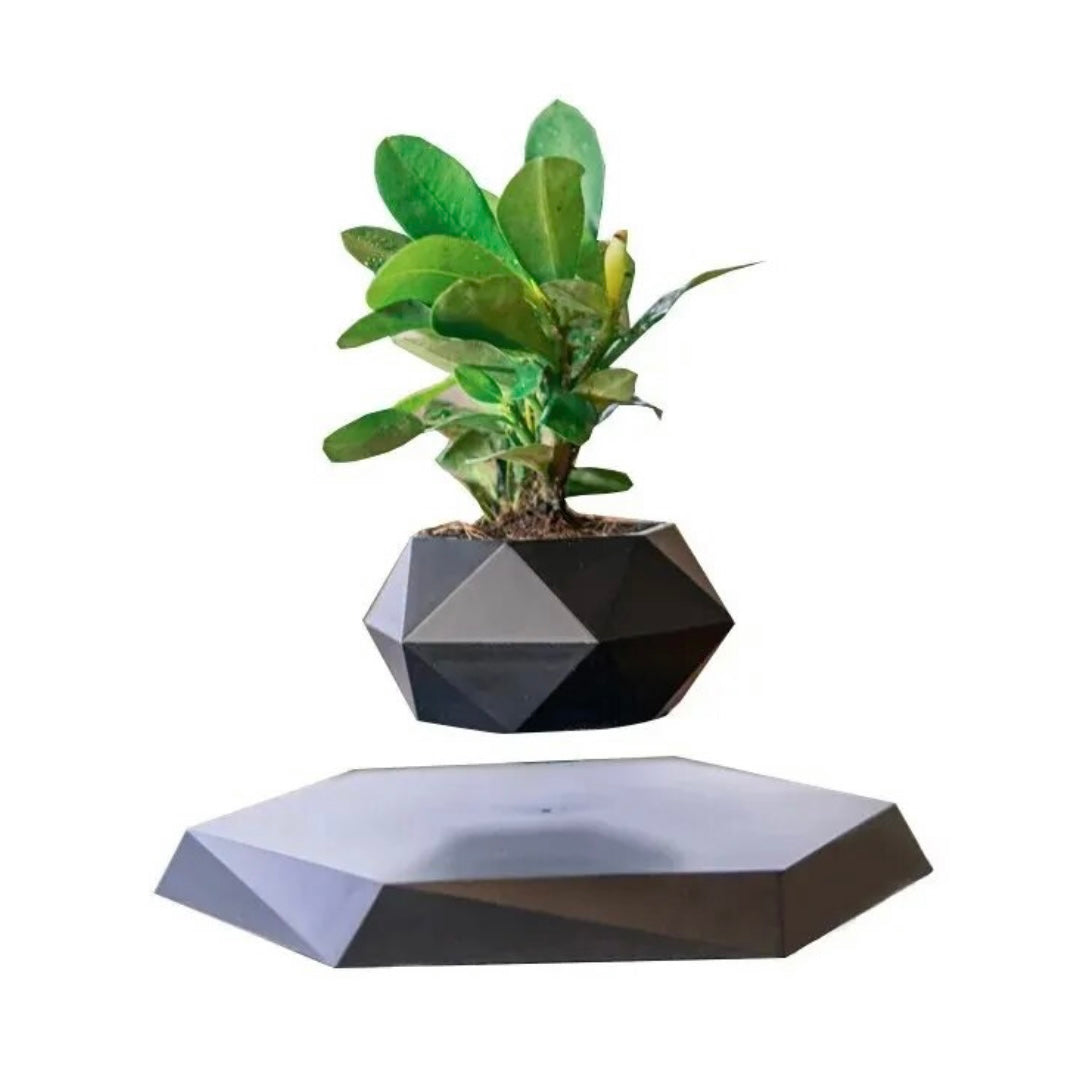 Vaso di design fluttuante nero rotazione automatica - Fai lievitare il tuo verde