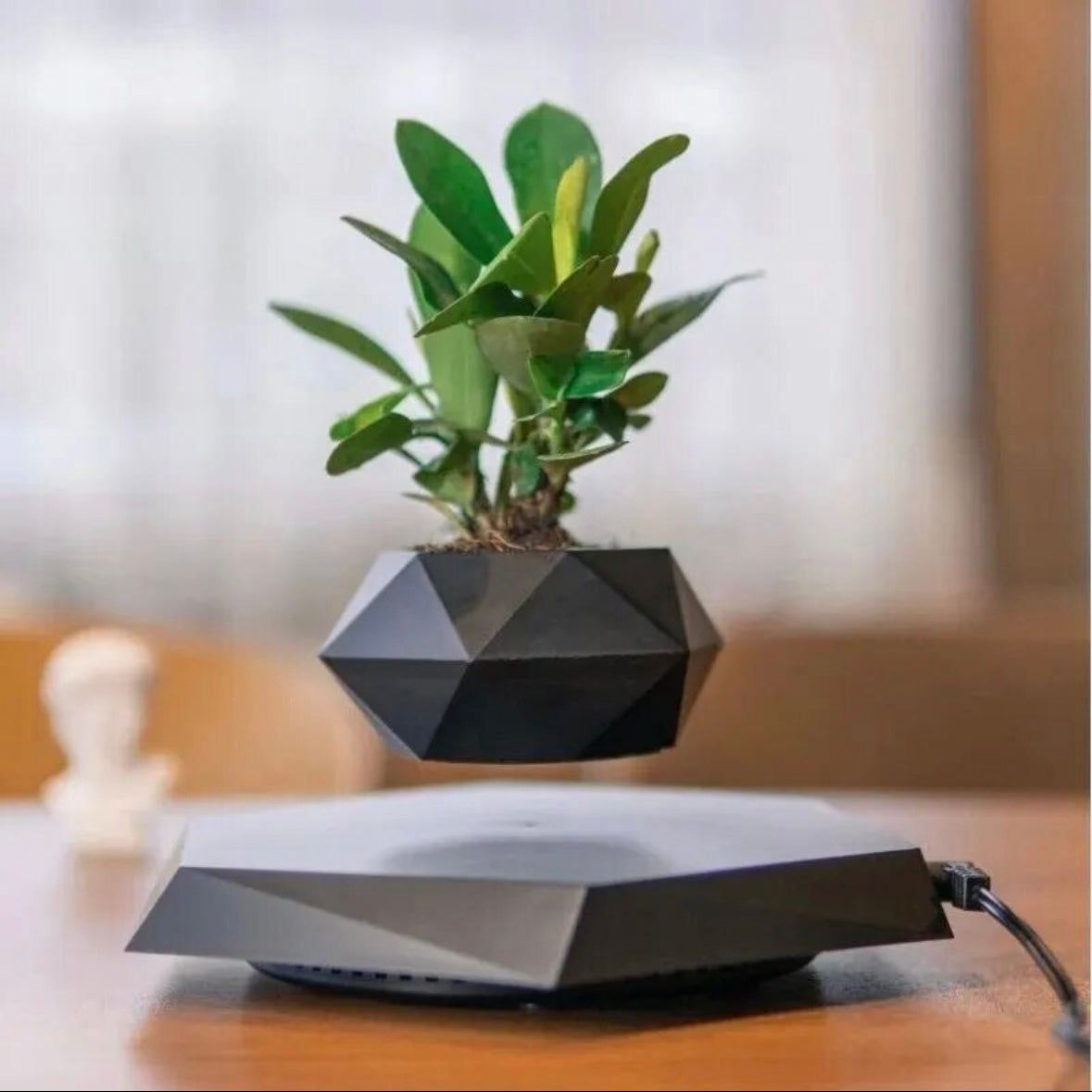 Vaso di design fluttuante nero rotazione automatica - Fai lievitare il tuo verde