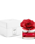 MUHÀ Rose Diffuser Profumatore ambiente con rosa - Petali di rosa - Clorophilla Shop