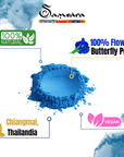 SAMSARA Tè Matcha BLU - SAPORE NATURALE| Fiori di Piselli blu Farfalla 100% Bio | Contro Ansia e Stress, Antiossidante Naturale, Made in Thailandia - Clorophilla Shop
