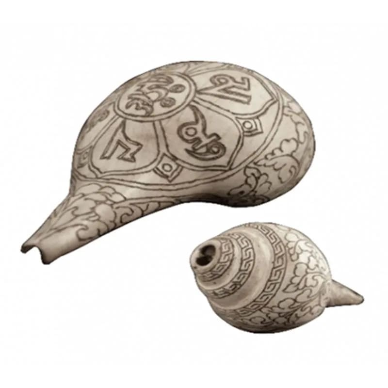 Conchiglia Vera tromba rituale Buddista con incisione OMPH - 18cm - clorophilla-shop