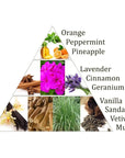 Aromafume Vishuddha 5 Chakra della Gola Mattoncini Incenso 7 Chakra - 9 bricks - clorophilla-shop