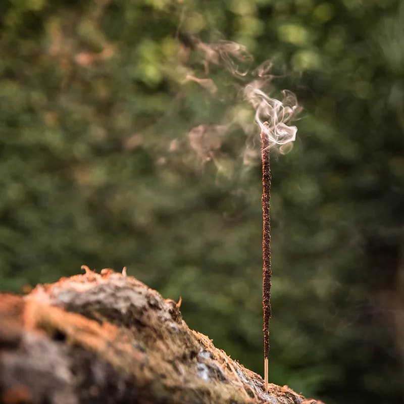 Mother Myrrh Sagrada Botanical incense in sticks - myrrh