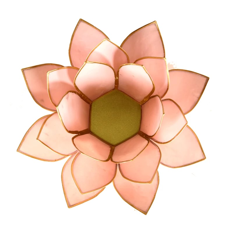 Lotus atmosphere lighting in Conchiglia Lapiz - Pink Portalumino