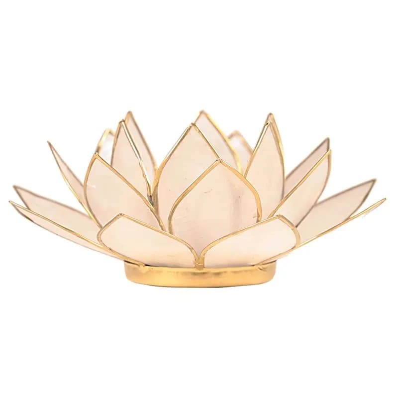 Lotus atmosphere lighting in Conchiglia Lapiz - Natural Portalumino