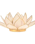 Lotus atmosphere lighting in Conchiglia Lapiz - Natural Portalumino
