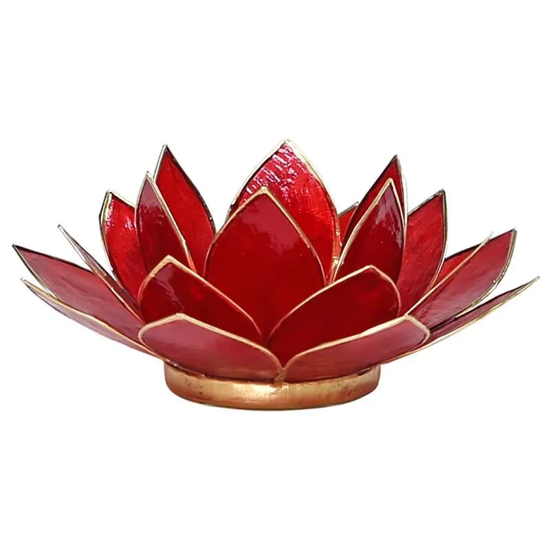 Lotus atmosphere lighting in Conchiglia Lapiz 1 chakra - Red Portalumino