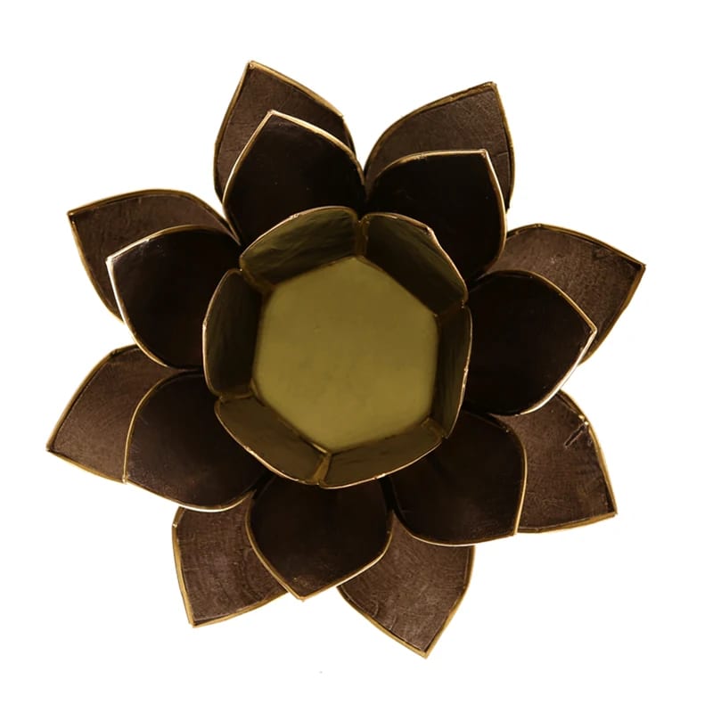Lotus atmosphere lighting in Conchiglia Lapiz - Black Portalumino
