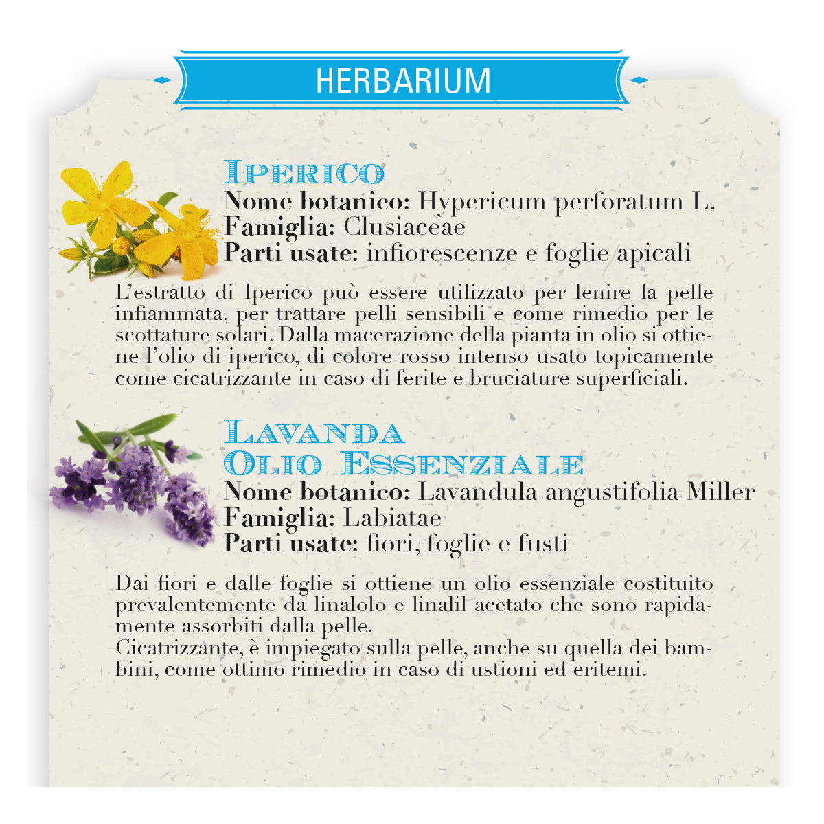 Helan Iperico Pomata - Scotturas and erythemi - 75ml