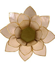 Lotus atmosphere lighting in Conchiglia Lapiz - Natural Portalumino