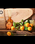 Organic Goodness "Nagpuri Narangi - Orange" Environment speaker with sticks - fresh citrus fragrance - 100ml