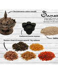 Samsara Proincenser - Incense professional Kit