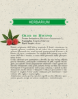 Olio di Ricino BIO puro 100% Made in Italy - 100ml - clorophilla-shop
