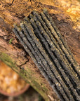 Sagrada Madre Frankincense Incenso artigianale in bastoncini - Franchincenso Africano
