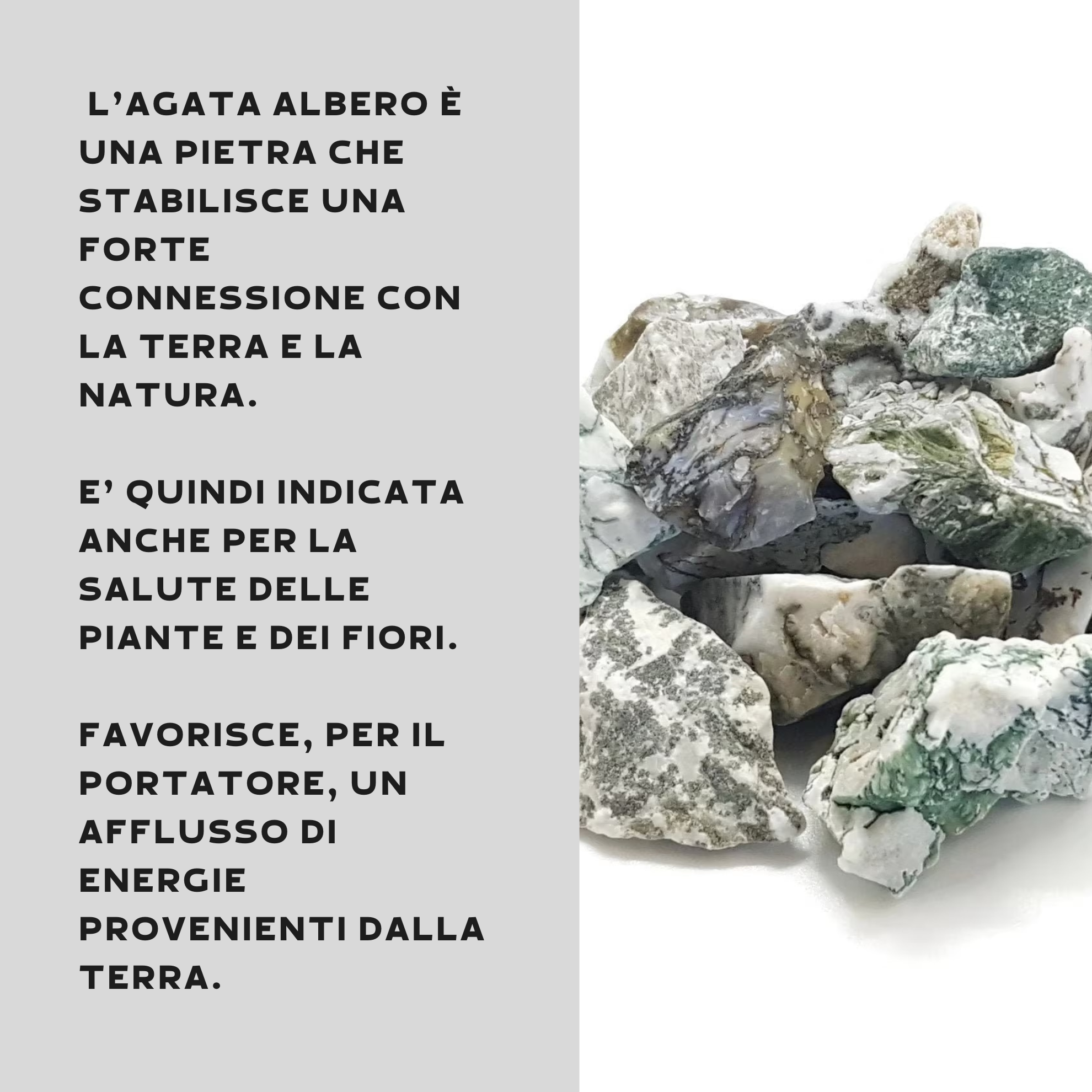 Agata Albero Grezza Origine India - Pietra da 3-5cm - clorophilla-shop