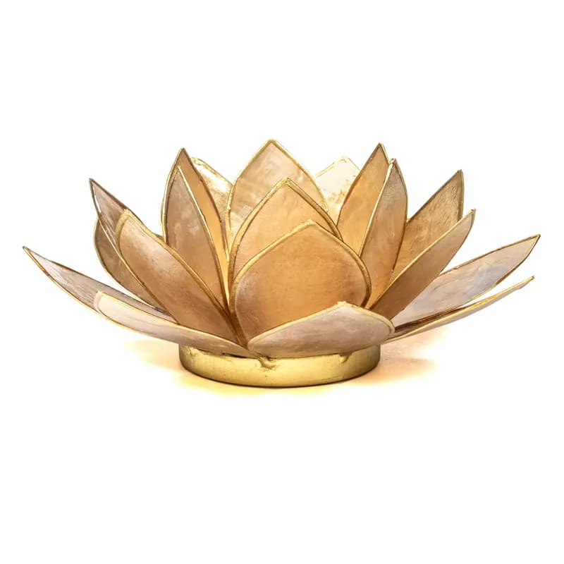 Lotus atmosphere lighting in Conchiglia Lapiz - Beige Portalumino/Fumè