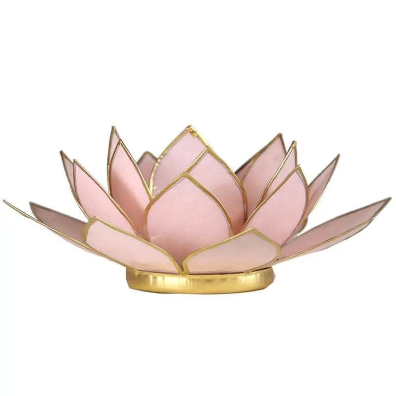 Lotus atmosphere lighting in Conchiglia Lapiz - Pink Portalumino