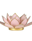 Lotus atmosphere lighting in Conchiglia Lapiz - Pink Portalumino